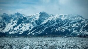 Test Item - Do not order